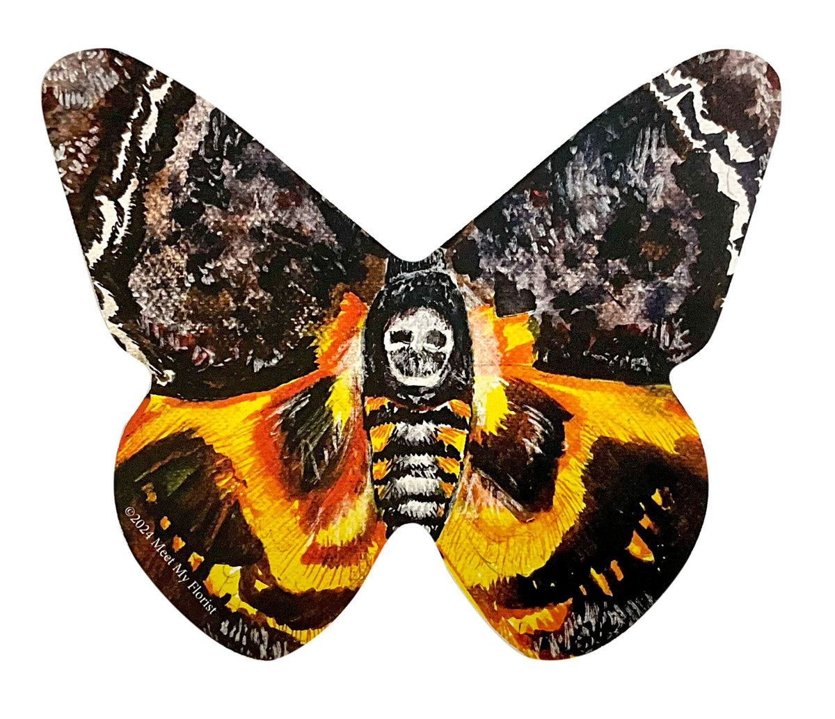 Butterfly - Folding Card - Death's-Head Hawkmoth – Meet My Florist